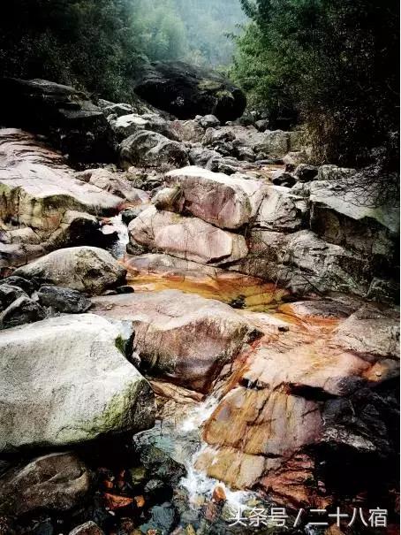 老树林,老树林春夏秋冬