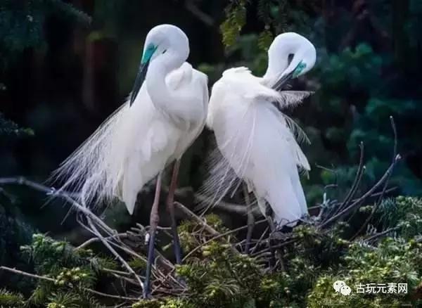 传统文化御窑定瓷,御窑最好的瓷器