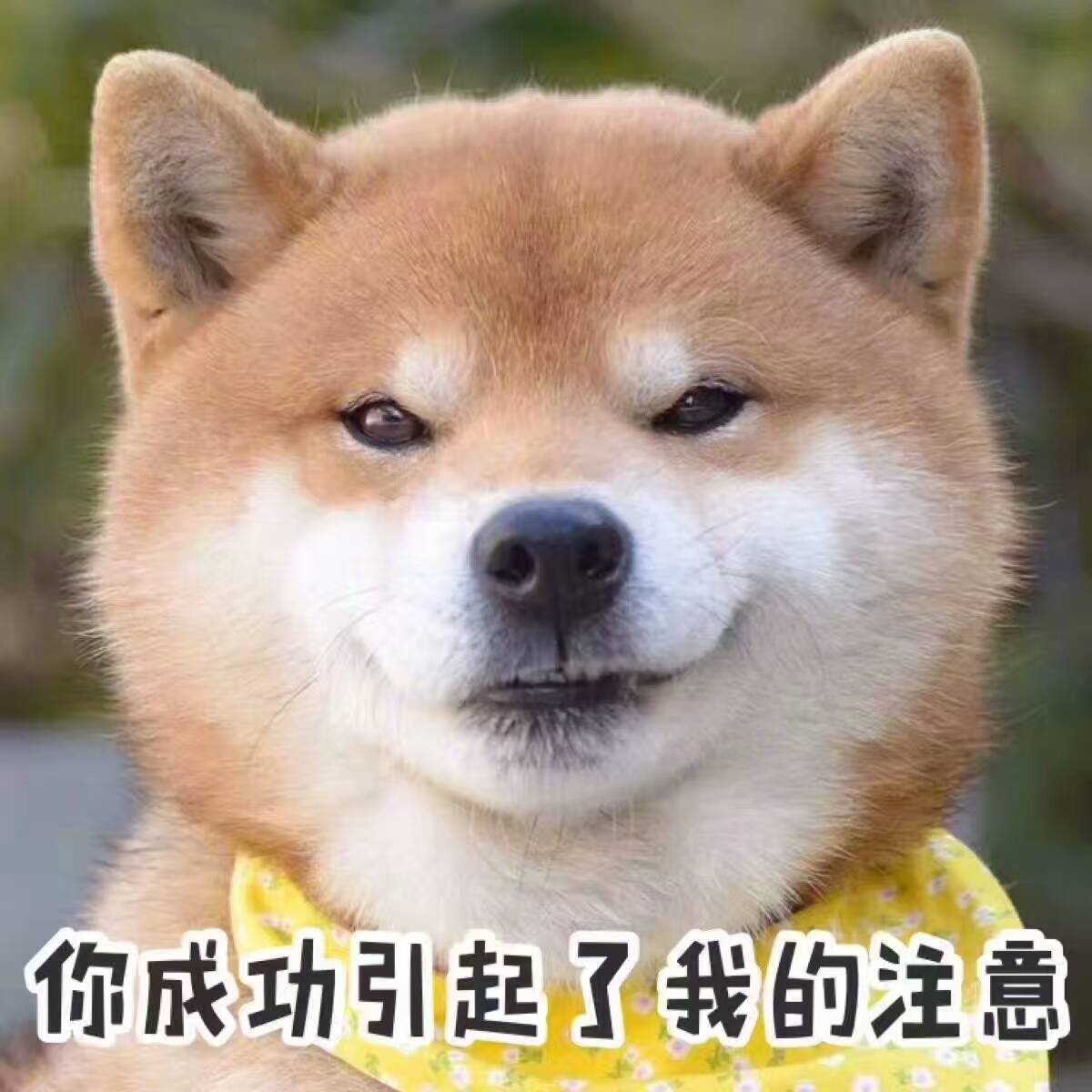 又便宜又好用的防晒喷雾 (这个夏天一定要拥有的防晒喷雾)