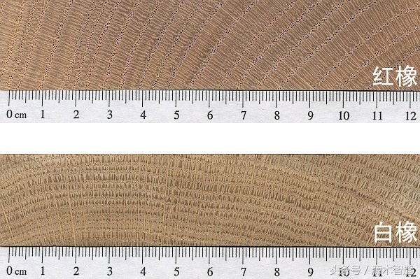 木材介绍之橡木,橡木是什么树的木材