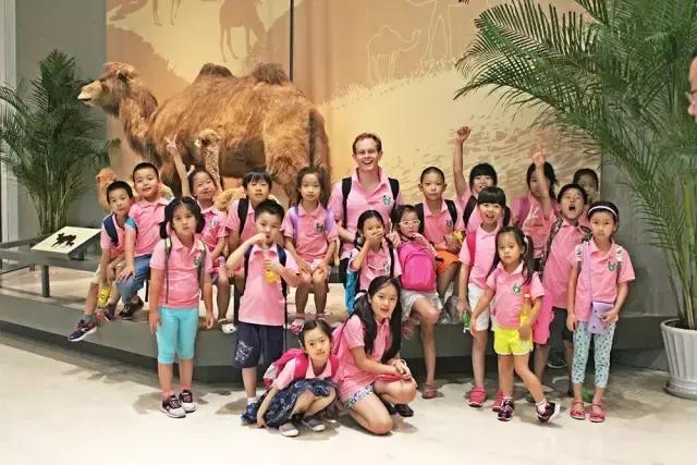 小升初名校爆冷门,小升初名校拔尖