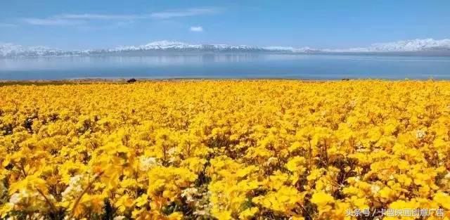 2万5千公里有多远,2万五千公里跨越半个中国