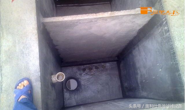 大型鱼池建造过程及施工方法,省钱鱼池建造过程及施工方法