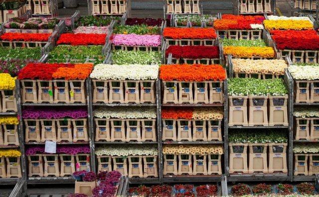 全球最适合华人居住的城市,年轻人最想去的top5城市