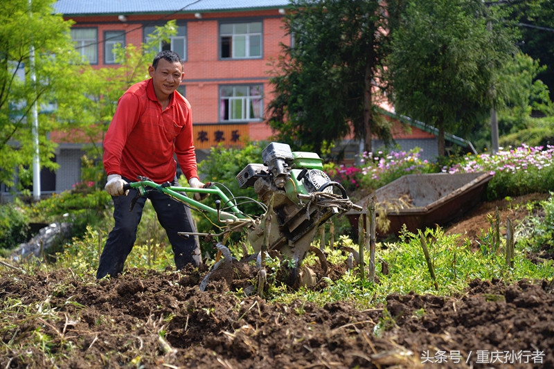 綦江花坝:以花为媒村民吃上旅游饭
