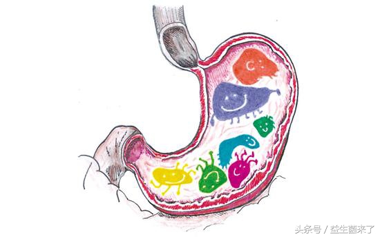 胃胀气,消化不良怎么办?做到这3点肠胃健康,吃得开心!