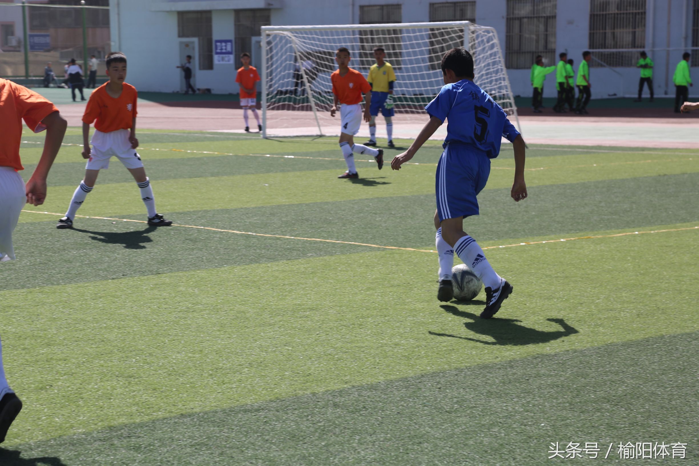 榆阳区中小学生运动会运动项目,榆林市中小学生研学实践活动