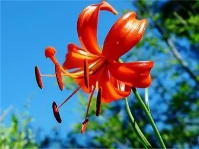 太行山最值得去的地方有哪些,太行山母亲