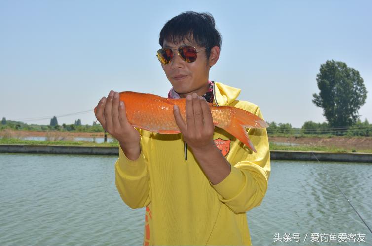 客友员工全体犯“最”，你怕了吗？