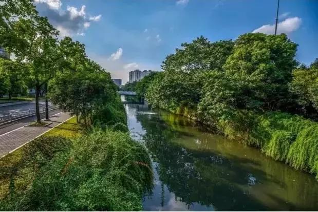 杭州为什么可以大规模拍地,杭州大规模拍地