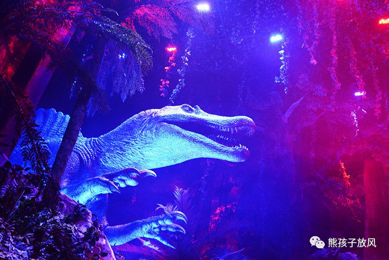 广州长隆野生动物园游玩攻略,广州长隆野生动物园攻略自由行