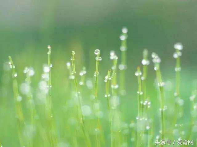 多年慢性肾病至今没有完全治愈,多年多囊能治愈吗