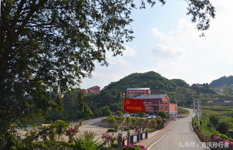 綦江花坝:以花为媒村民吃上旅游饭