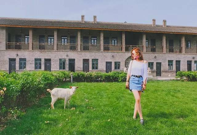 夏天必备的时尚墨镜有哪些,ins百搭网红墨镜夏日出游必备墨镜