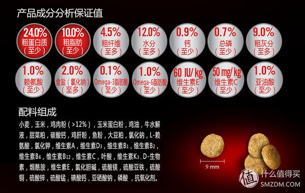 简单训犬小技能,简单学训犬