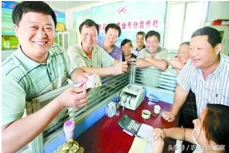 2020年合作社最佳经营模式,合作社经营模式图解