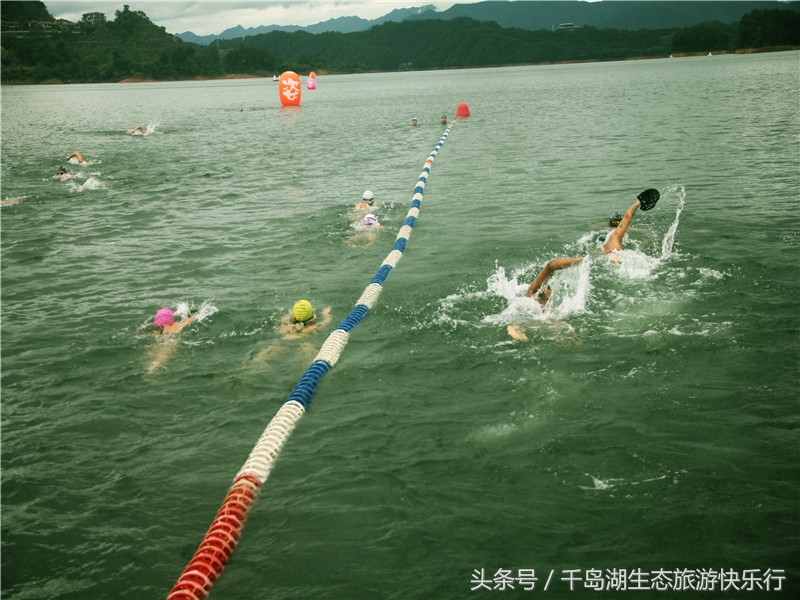 千岛湖人真有福！免费享受573km²的天然绿色游泳场（原创）