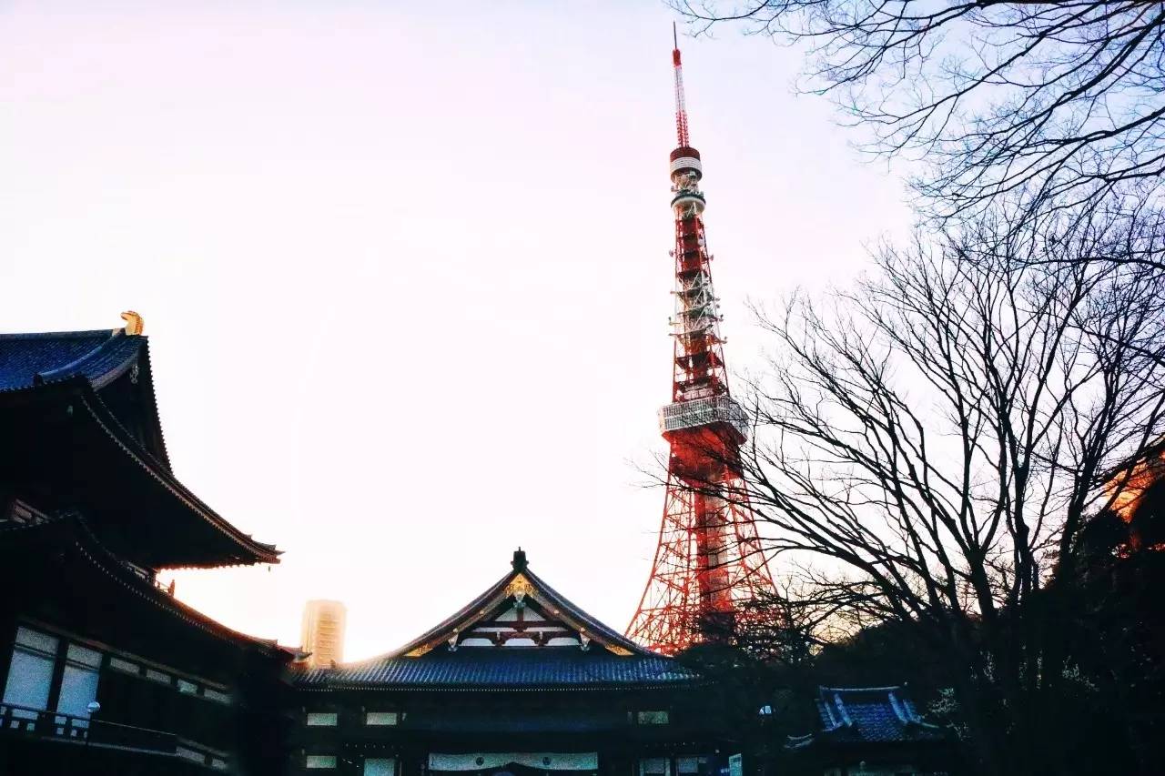 东京Tokyo丨如果你不爱她,请别招惹她