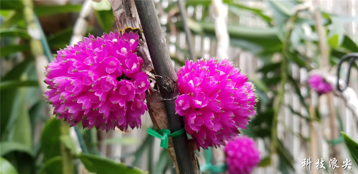 三星s8+测评处理器,三星s8+评测视频