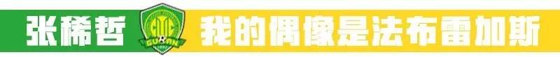 张稀哲国安外援,张稀哲助攻国安