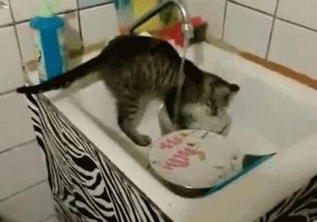 西门子洗碗机怎么选型号,西门子和美的洗碗机型号对比