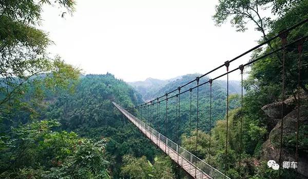 36元起！端午和陈柏霖、林依晨探索高山林海秘境，竹海漫步！