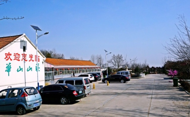 采摘园摘桑葚吃,桑椹采摘园吃桑椹