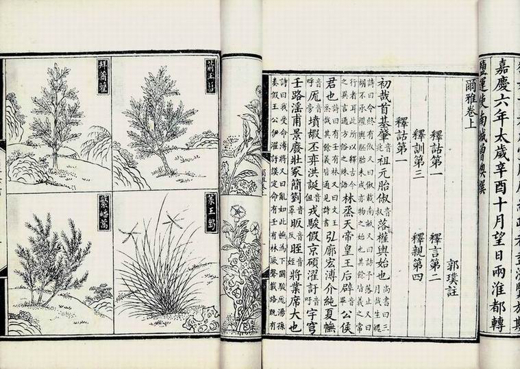 尔雅释诂的内容,尔雅释诂解释