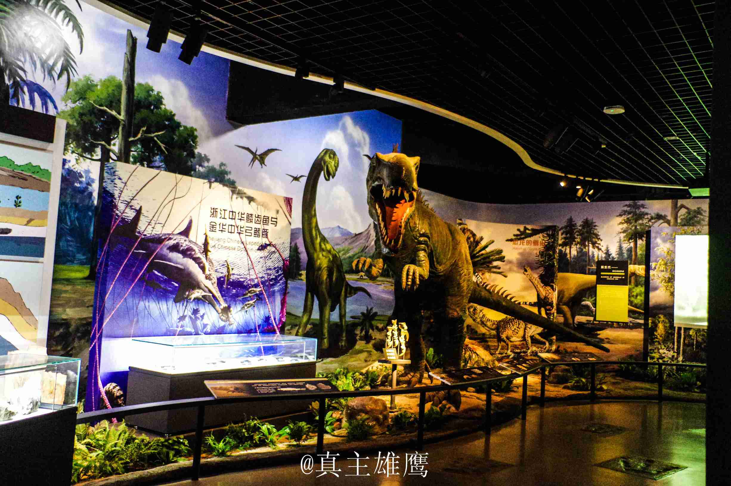 在金华生活怎么样,每天了解一个繁华城市浙江金华