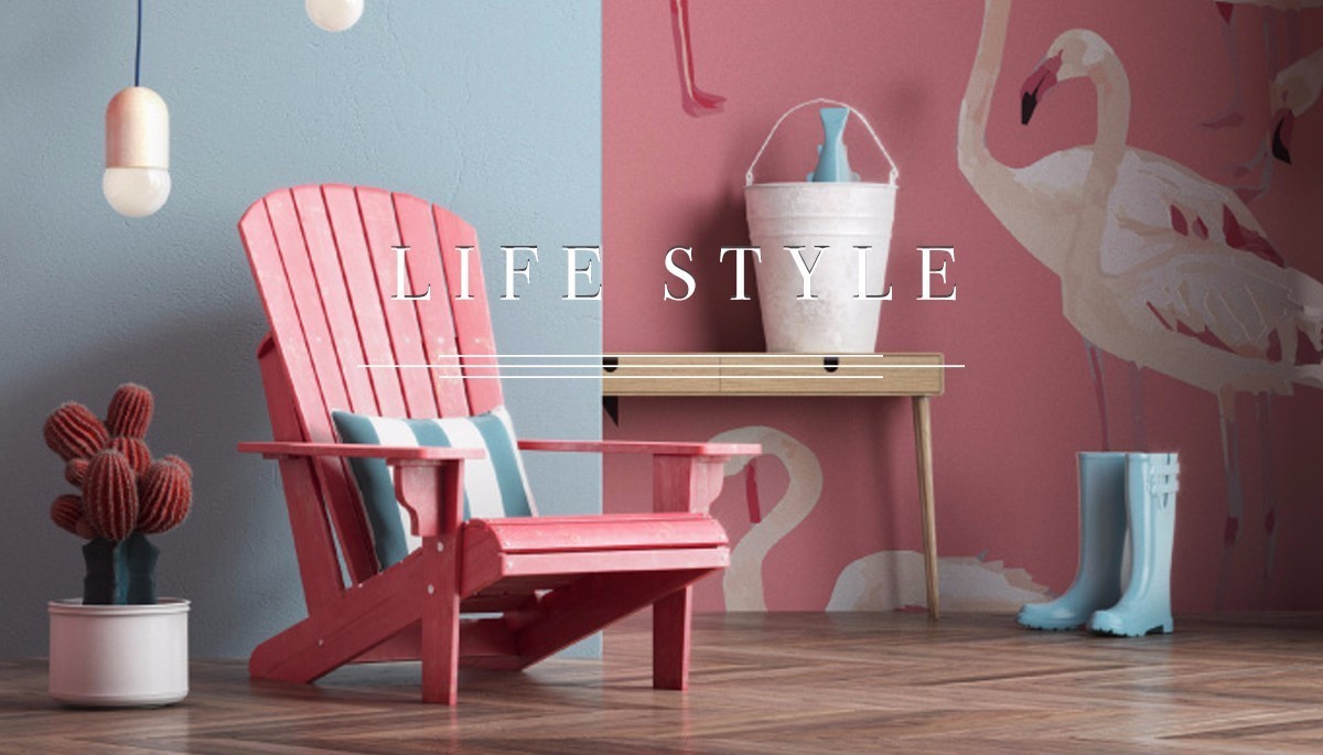 分享我的一些学习经历和体会,分享一下我的学习心得