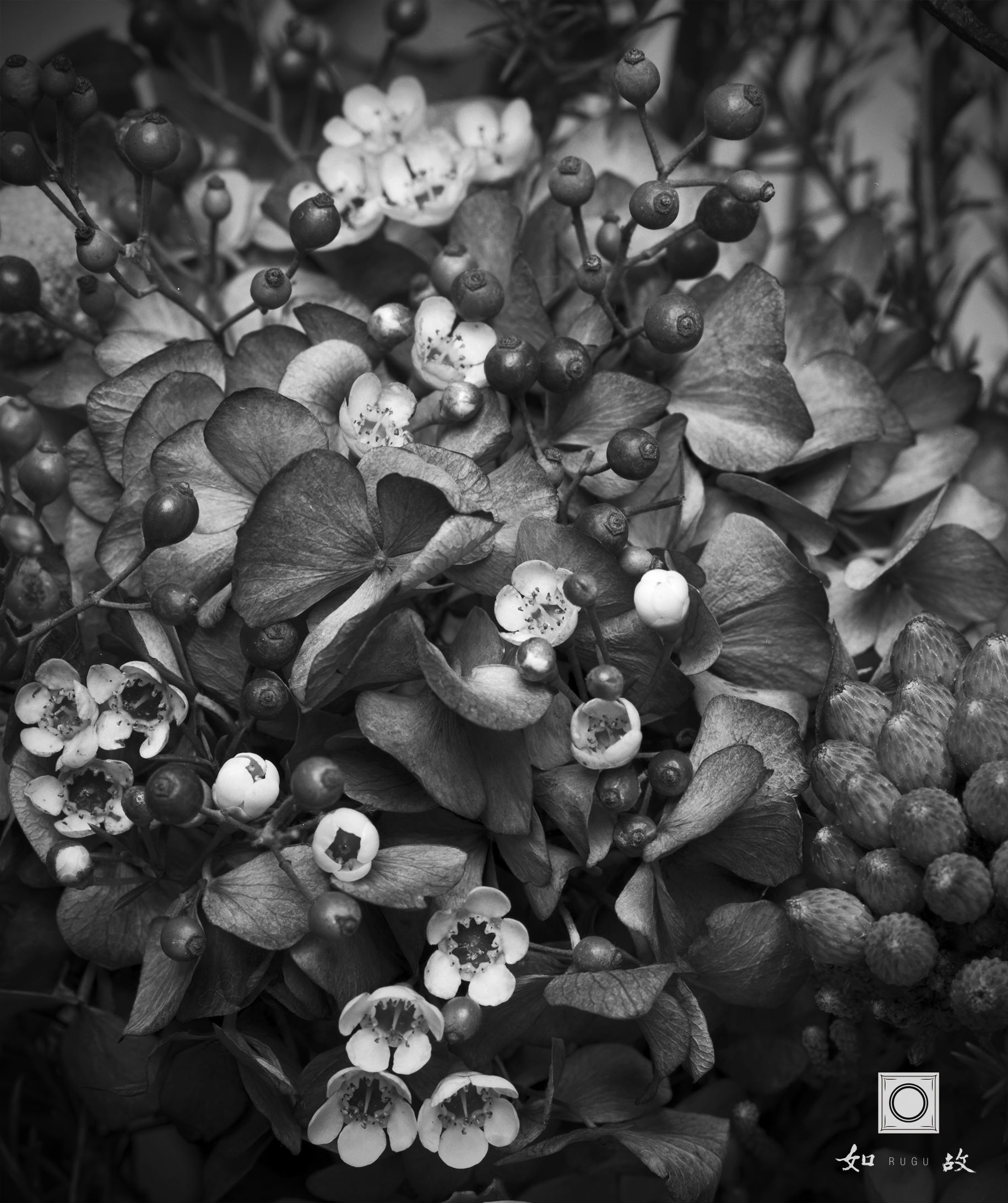 习惯决定性格决定命运的小故事,一个关于命运的故事