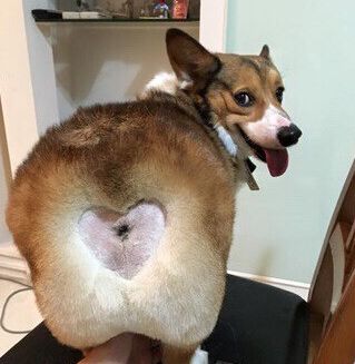 懒癌患者是什么症状,懒癌症状表现