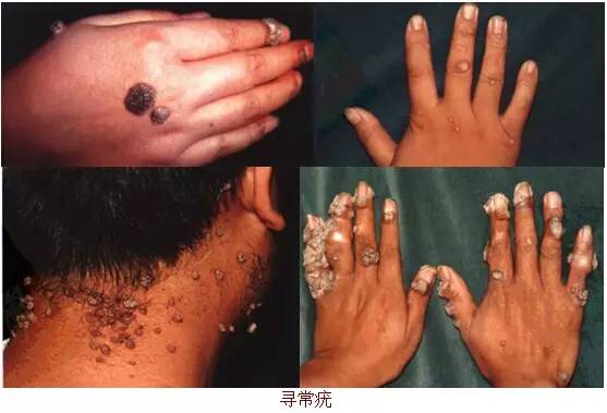 店员经典培训教材,店员经典培训教材餐饮