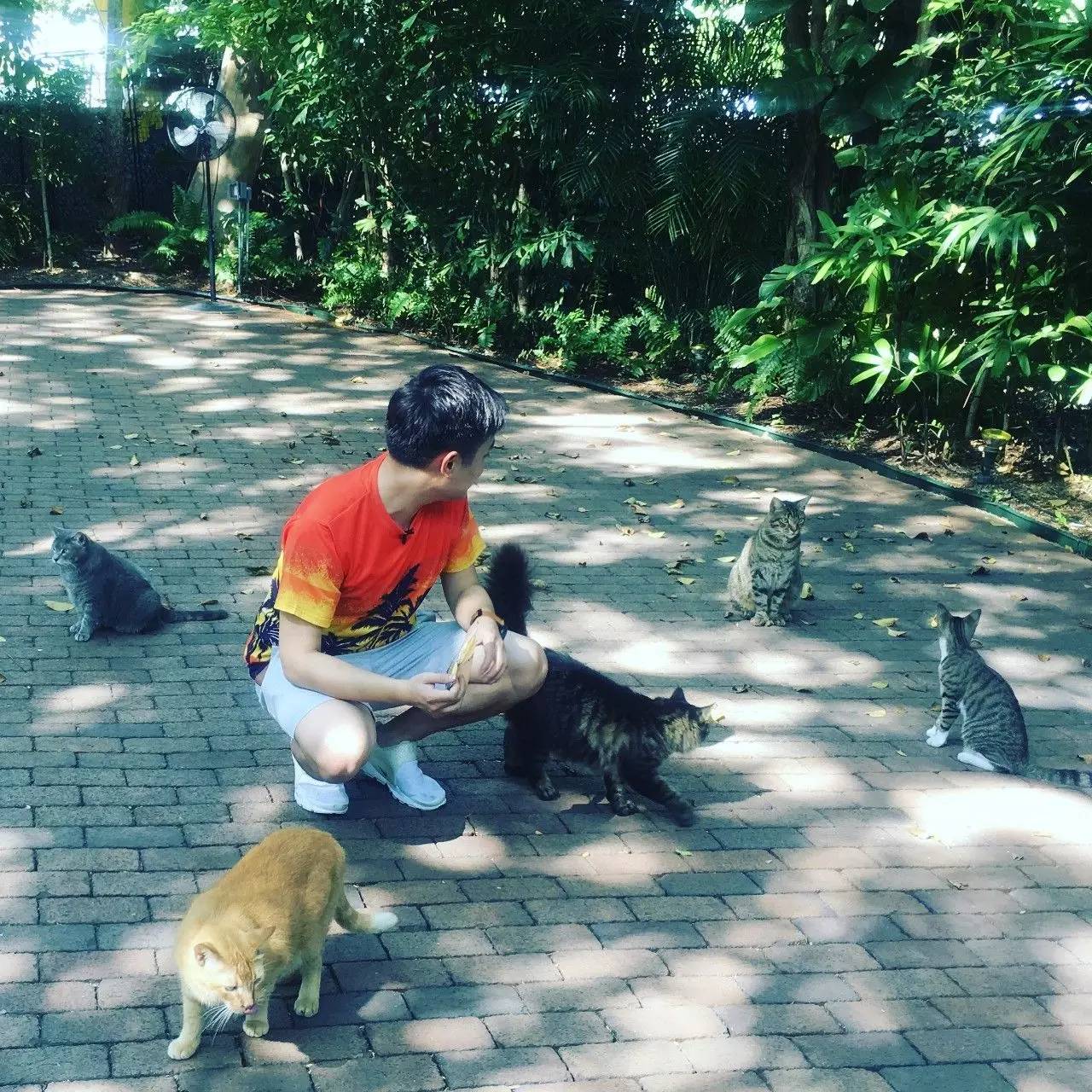 阳光之州是美国哪个州,阳光之州佛罗里达