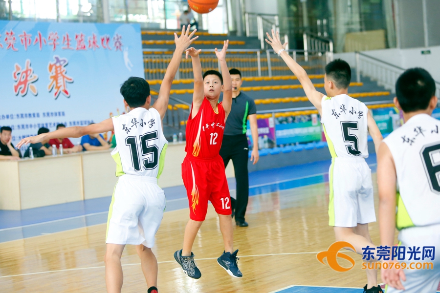 东莞市小学篮球赛2021,2020年东莞市小学篮球锦标赛