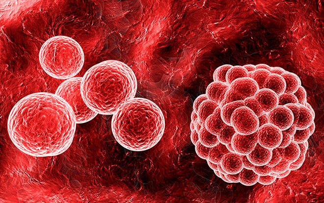 bioweekly,bioweek闄愰噺