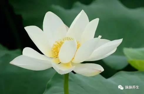 心中五气是哪五气,五气和情绪的关系