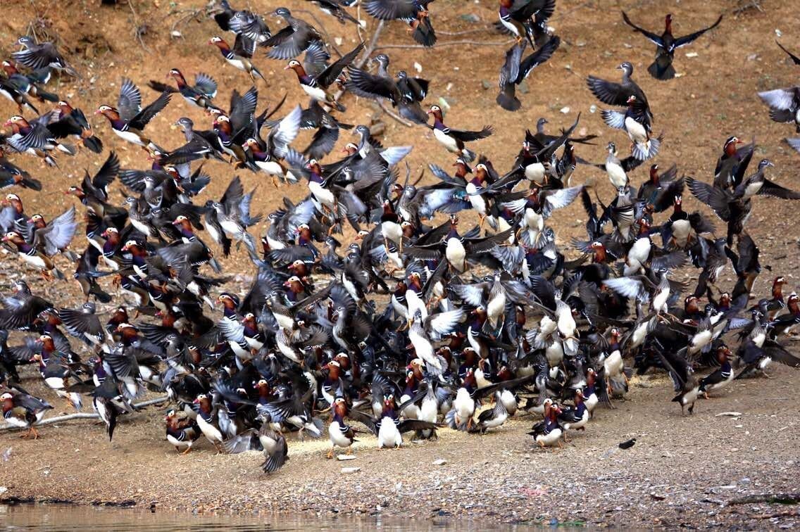 约惠旅游攻略,约惠旅游