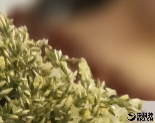 金立s10四摄价格,金立s10的手机测评