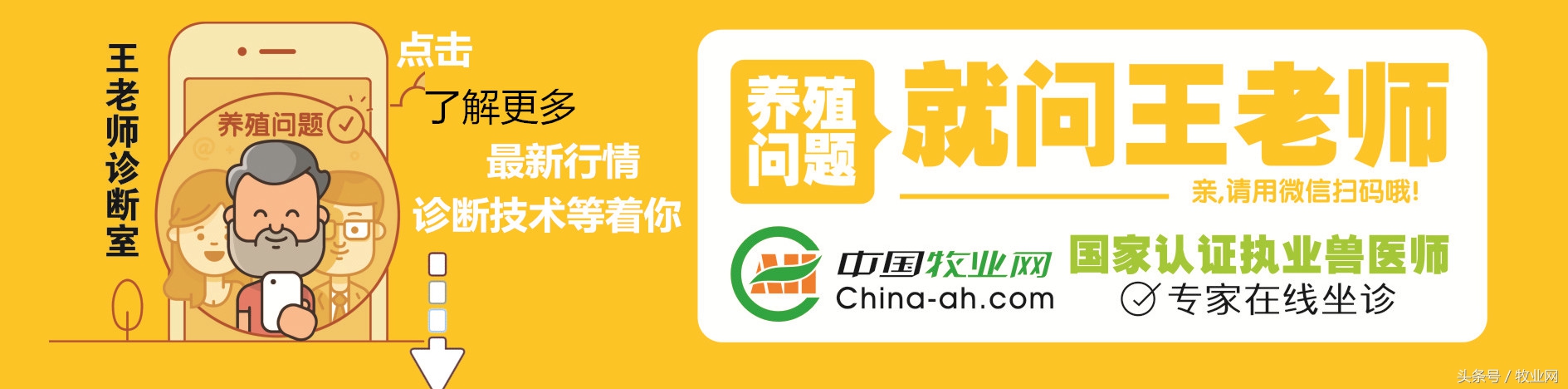 养猪人分析行情,养猪人猪价下跌心情说说