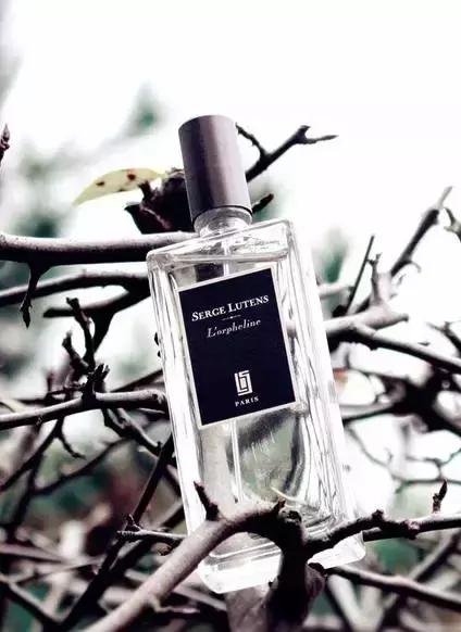 直男送的礼物520图集,520直男适合送的礼物