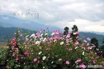 说说“三”，道道“四”，久而久之，你就长大了，你就豁达了