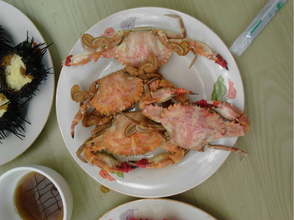 烟台蓬莱长岛两日游景色美极了,烟台长岛三日游攻略