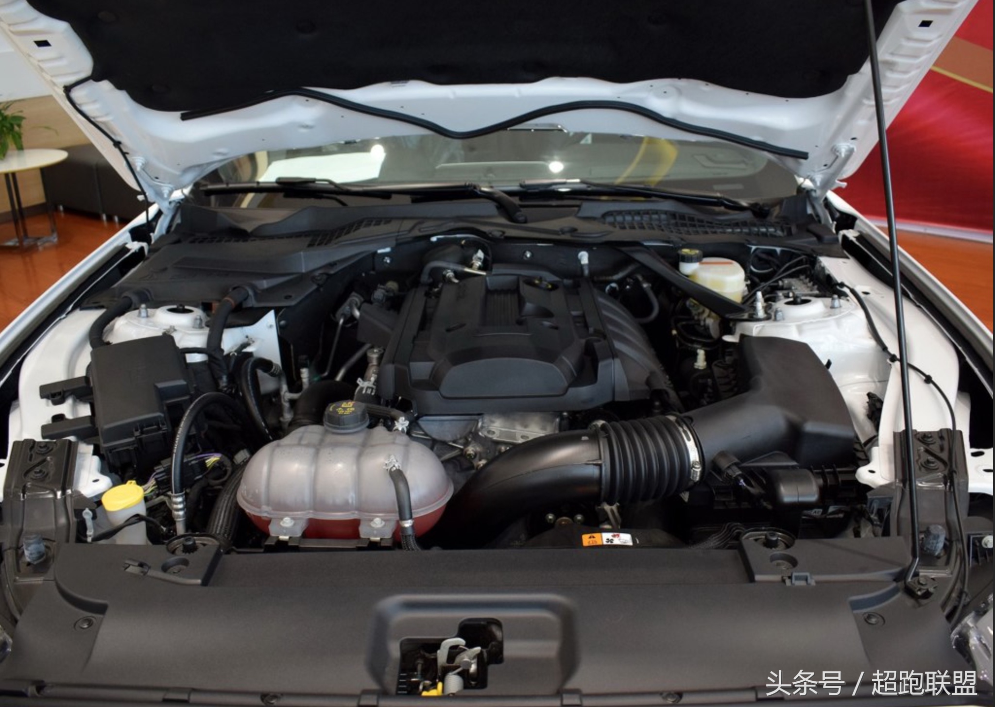 美式野马肌肉车几缸,新款2.3t福特野马