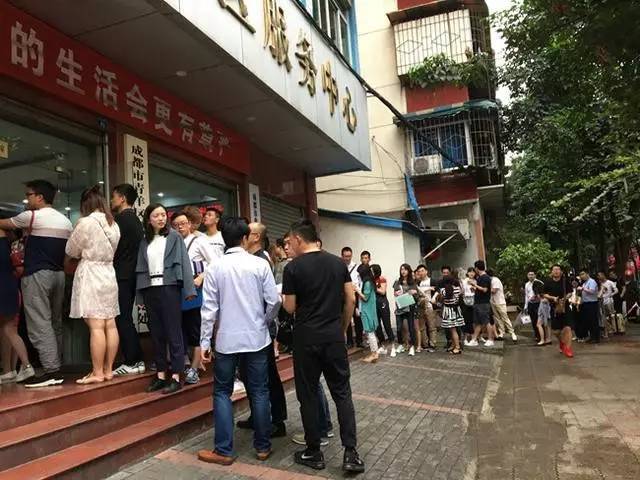 蜀兰大熊猫 (大熊猫蜀兰回家)