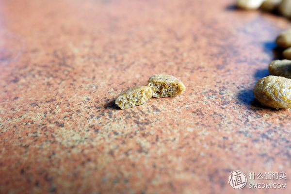 目测托米你要火!丝倍亮成犬全价托米亲吃评测以及托米的成长史