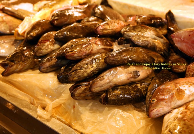 三亚慢生活一天,三亚旅游攻略酒店美食