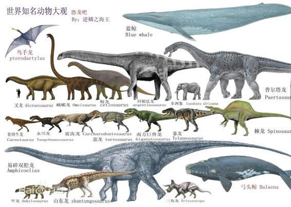 盘点最奇葩的吉尼斯纪录,世界上肾脏最多的人破吉尼斯纪录