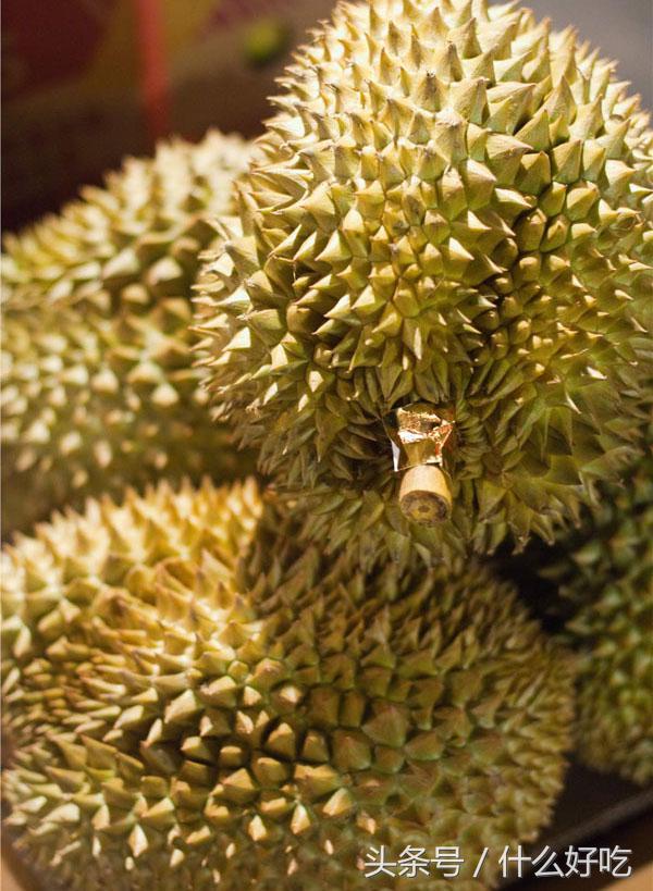 榴莲最佳吃法和禁忌,榴莲的最佳吃法和禁忌