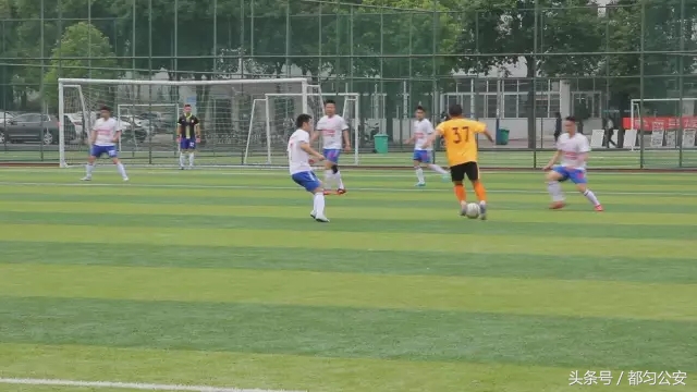 绿茵场上青春飞扬原唱,警队健儿展雄风